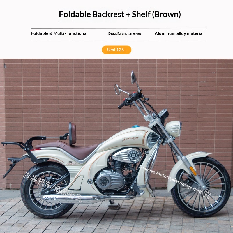 【Premium】Für Zongshen Lemi/You – Tail Bag Rack Bewertung und Preis